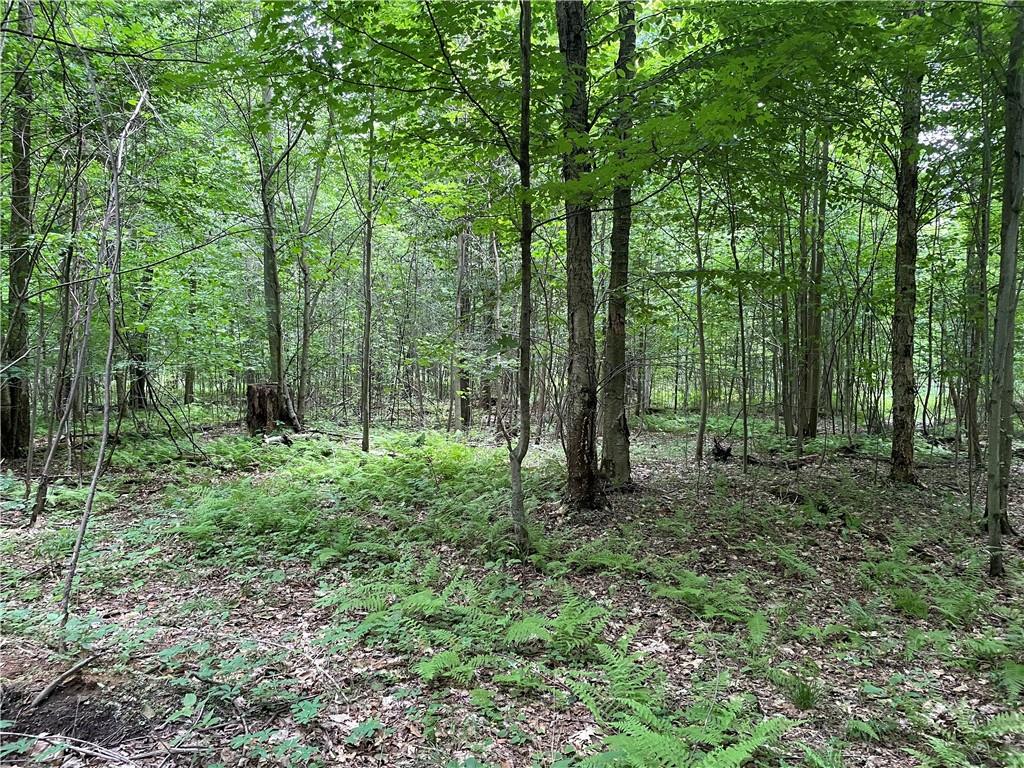 0 Elm Road Cambridge Springs, PA 16403 - Photo 5 of 17 a view of outdoor space and green space