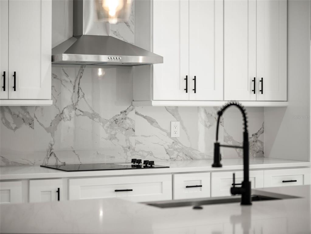 42430 Fir Street Eustis, FL 32736 - Photo 10 of 44 a close view of kitchen sink with granite countertop