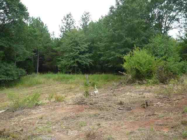 167 Dbr Road, Unit 25 ACS D B R RD Iva, SC 29655 - Photo 7 of 8