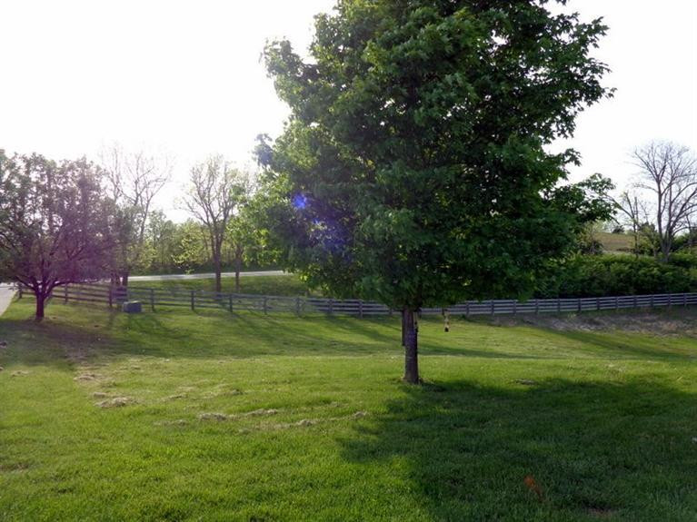 1923 Red House Road Richmond, KY 40475 - Photo 36 of 54 Photo 37