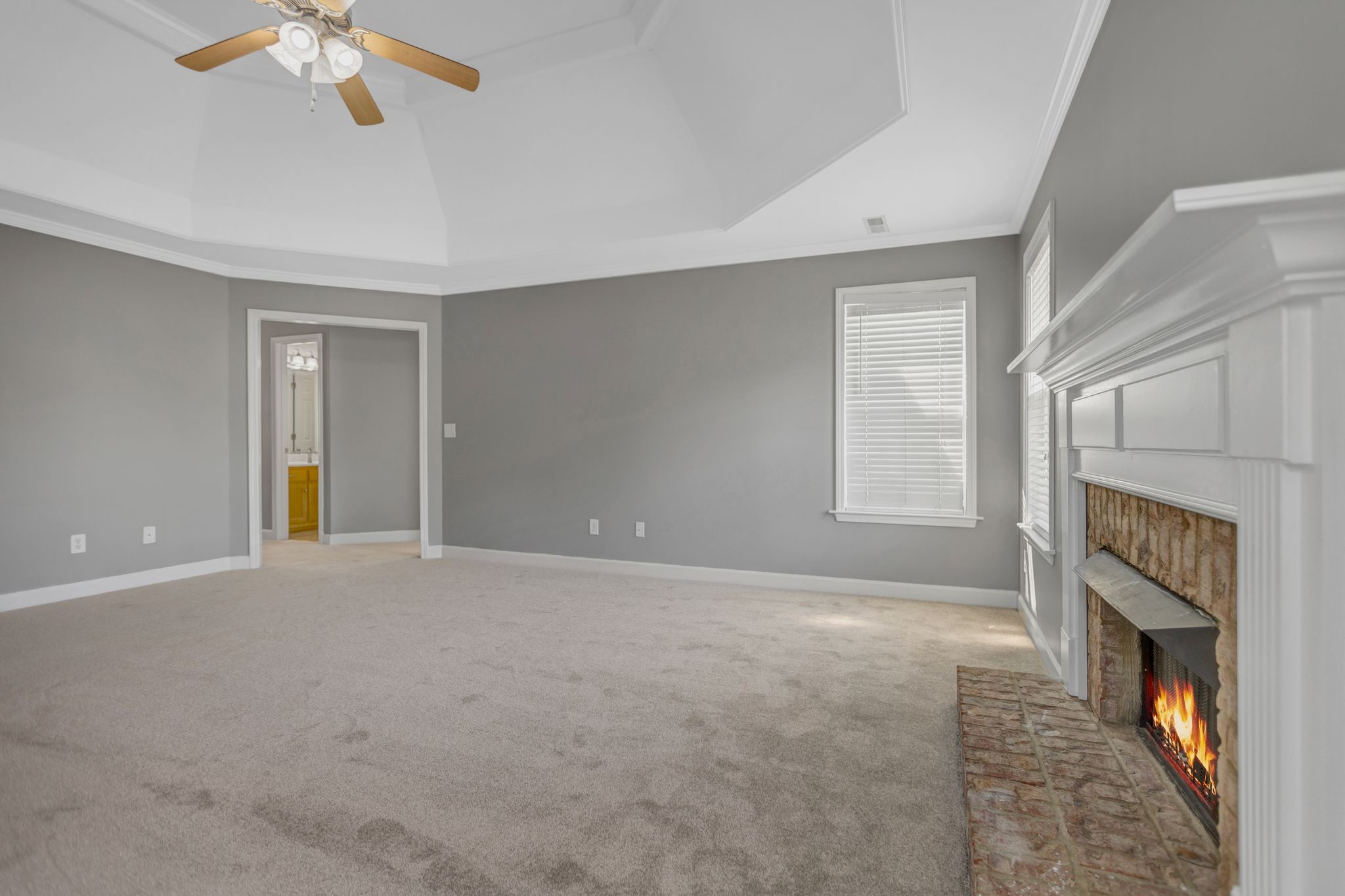 3008 Romain Trail Spring Hill, TN 37174 - Photo 18 of 32