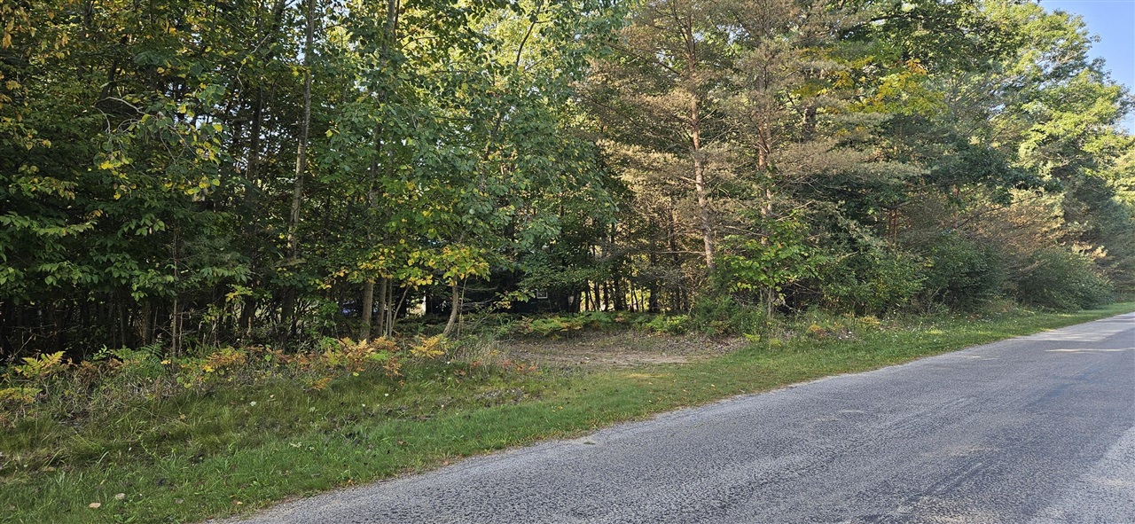 1 Peet Road Elsie, MI 48831 - Photo 2 of 25