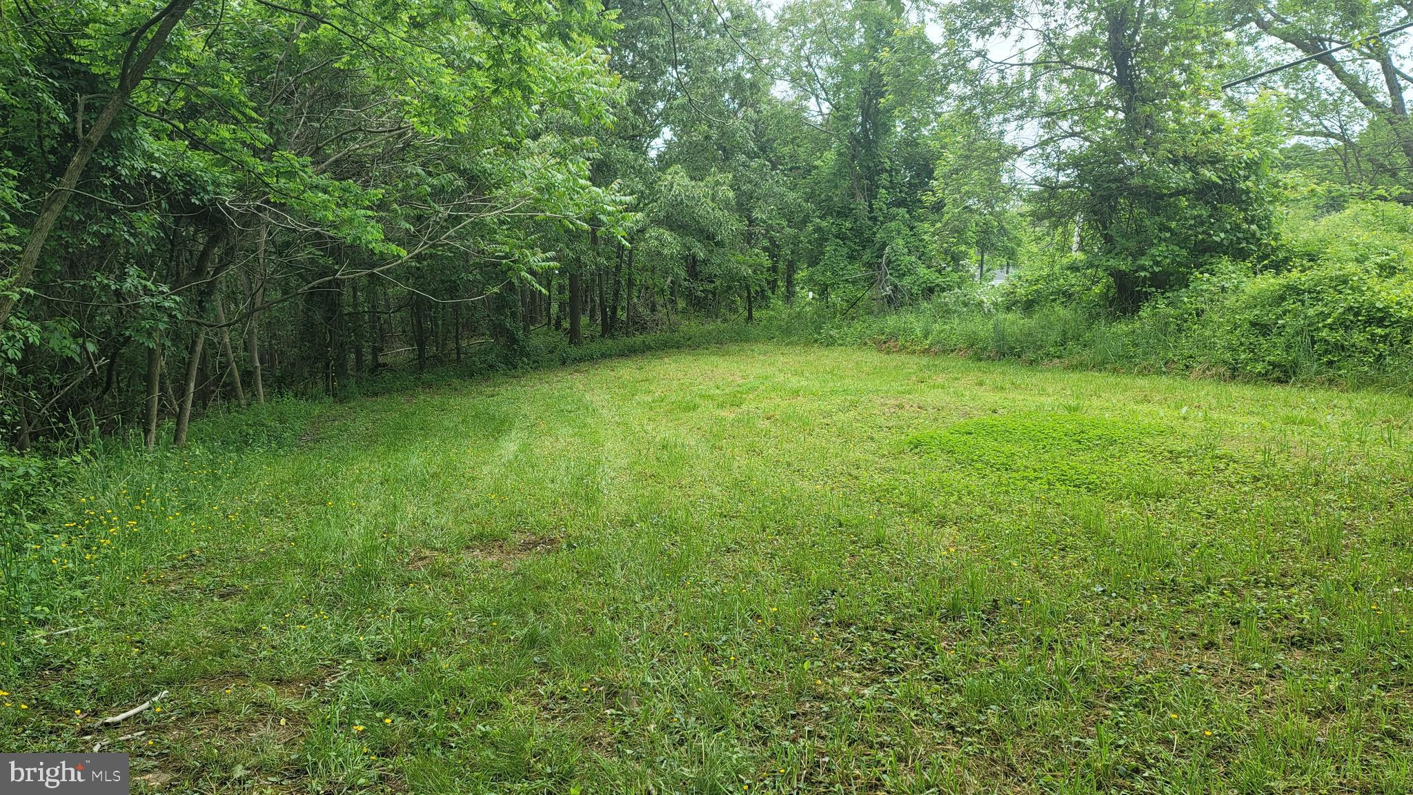 10101 Old Fort Road Fort Washington, MD 20744 - Photo 11 of 11 Gallery Image 11