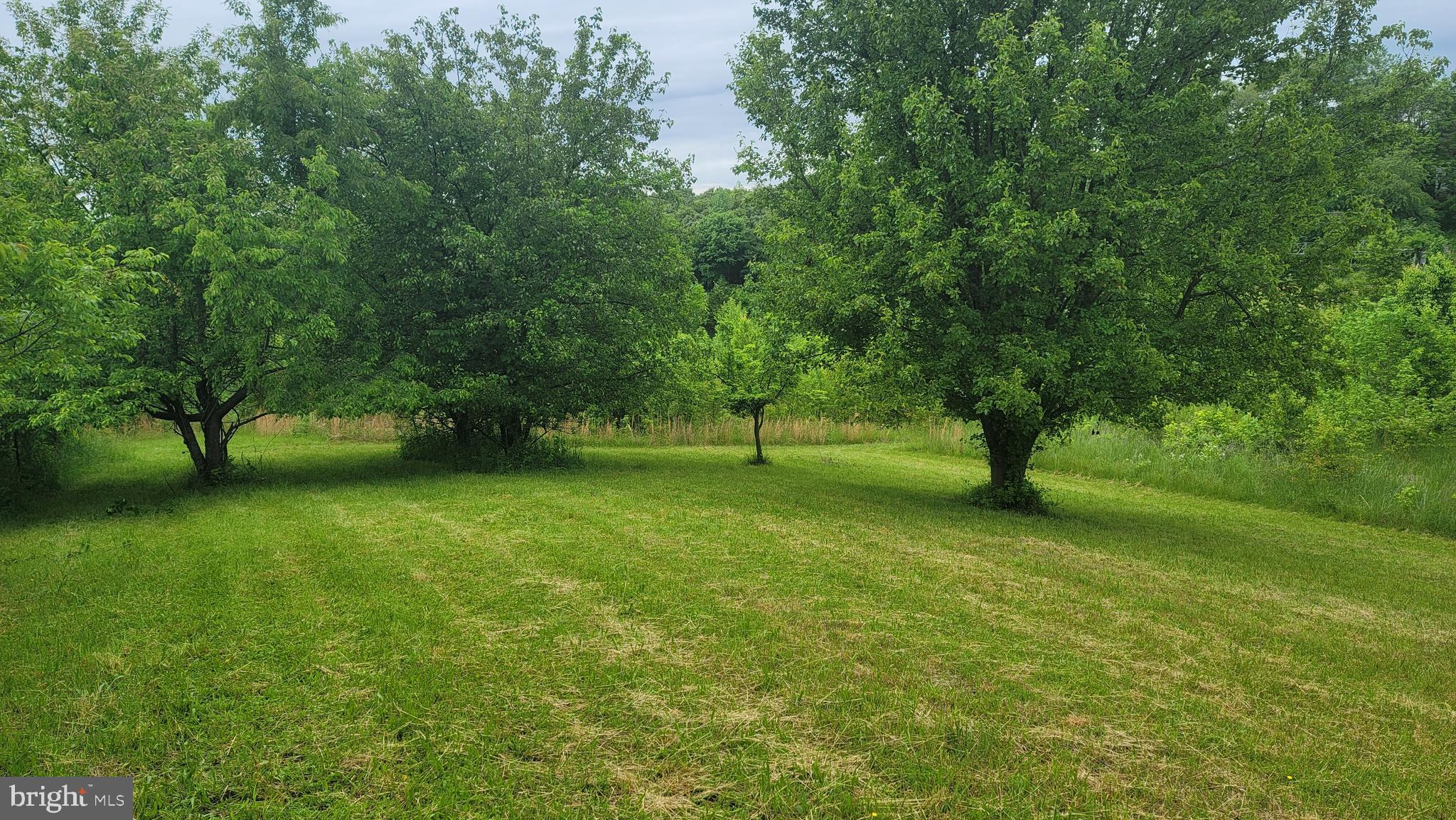 10101 Old Fort Road Fort Washington, MD 20744 - Photo 3 of 11 Gallery Image 3