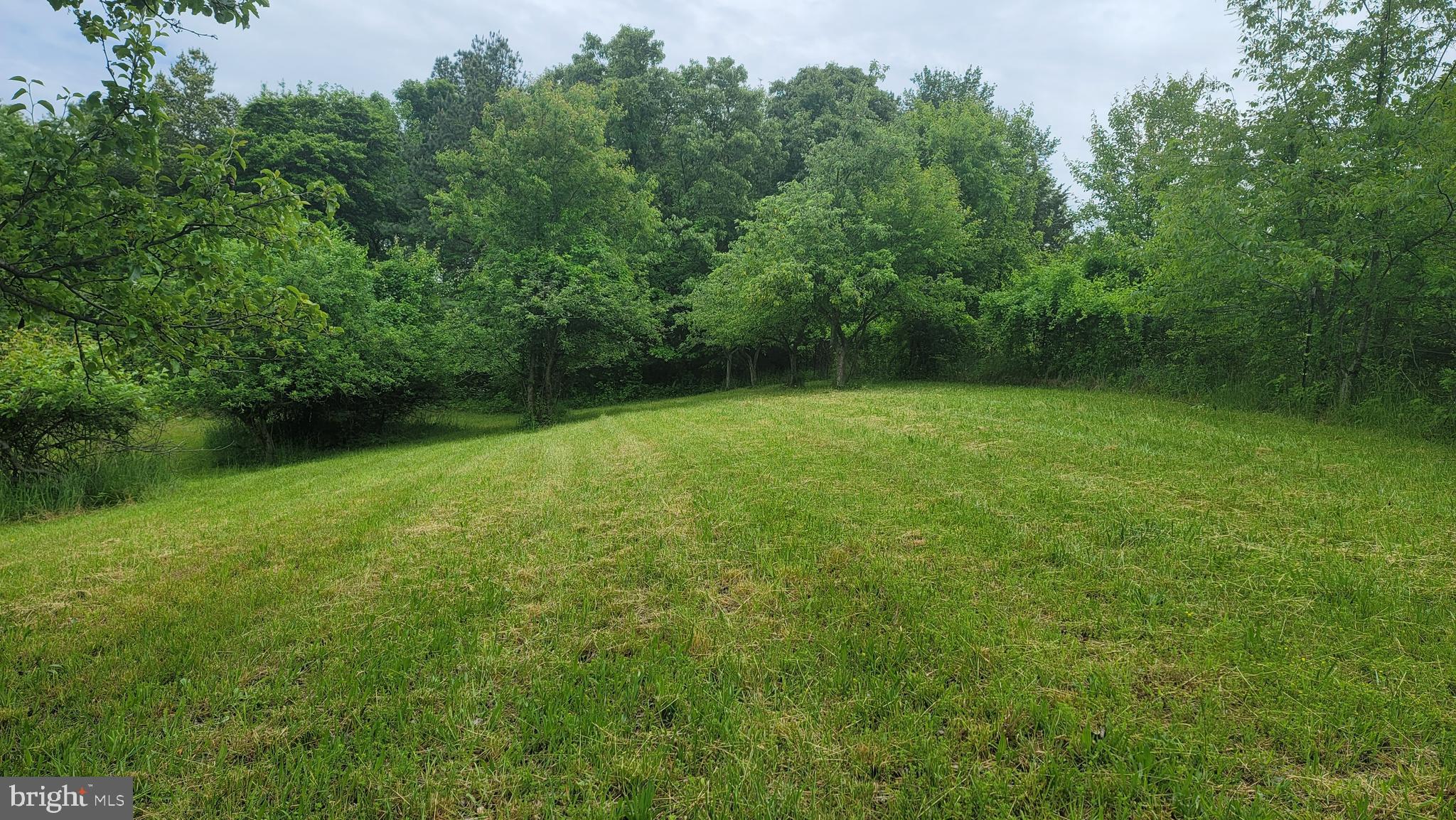 10101 Old Fort Road Fort Washington, MD 20744 - Photo 5 of 11 Gallery Image 5