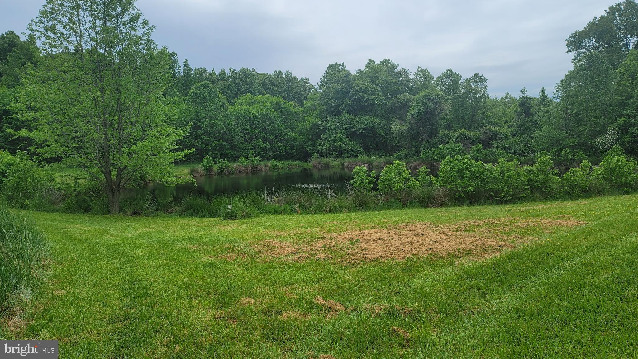 10101 Old Fort Road Fort Washington, MD 20744 - Photo 7 of 11 Gallery Image 7