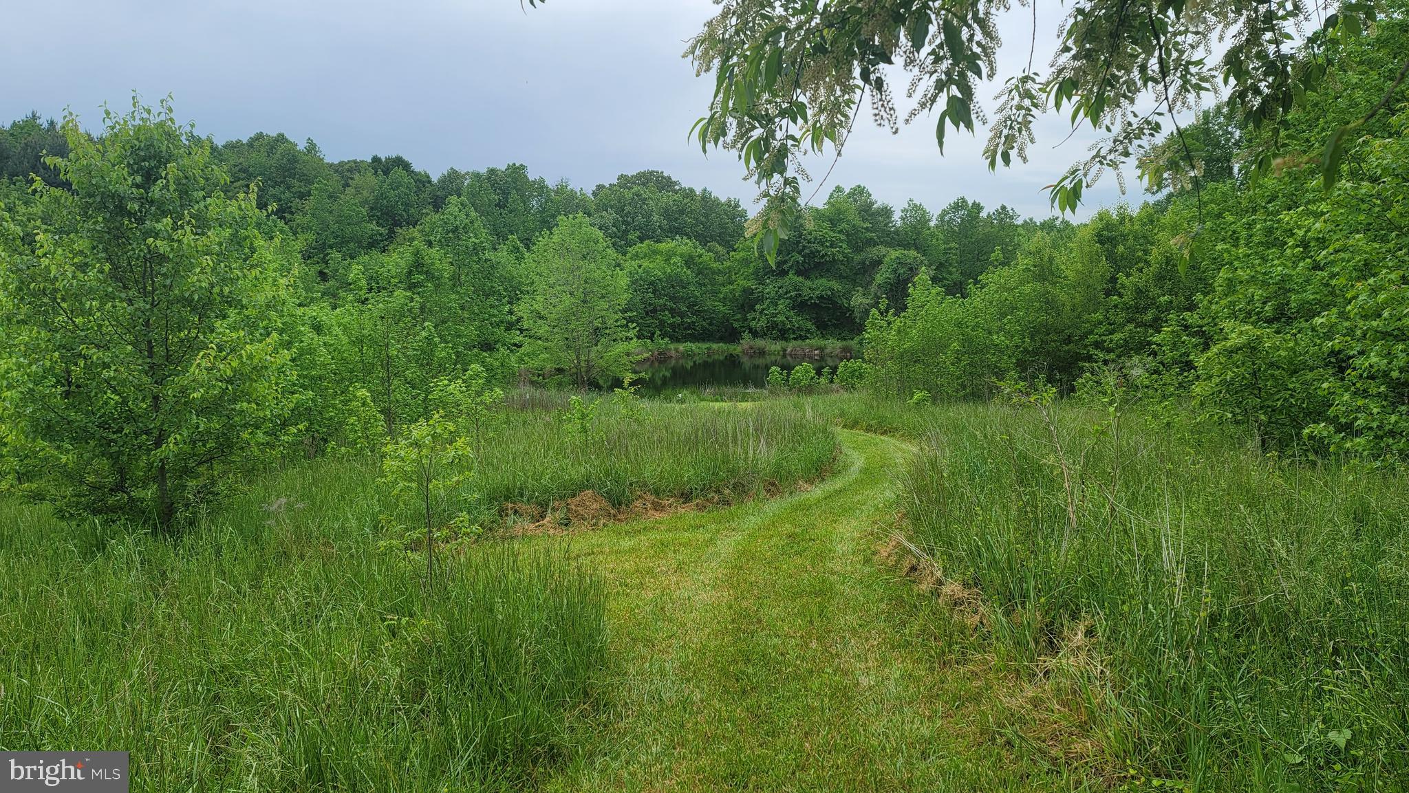 10101 Old Fort Road Fort Washington, MD 20744 - Photo 9 of 11 Gallery Image 9