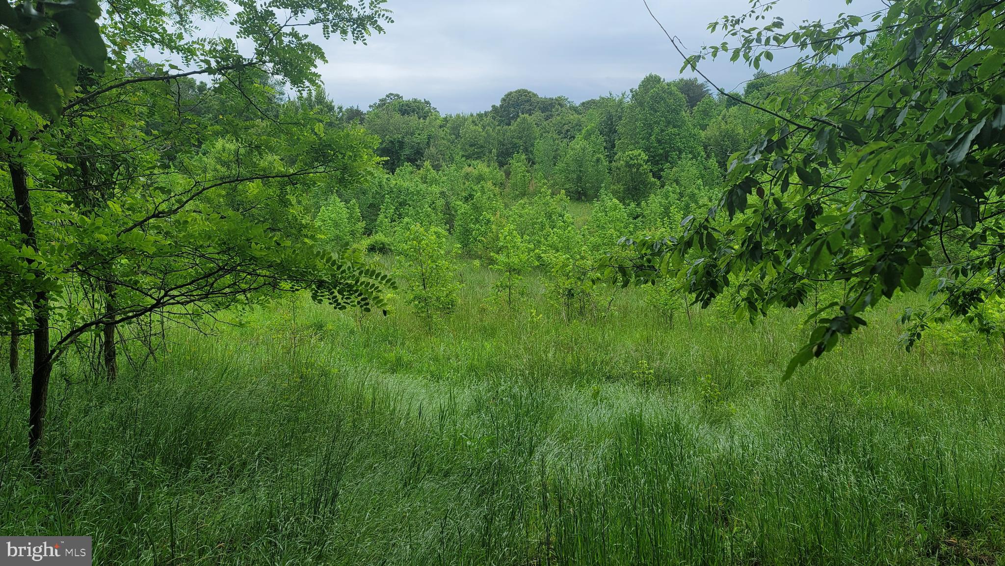10101 Old Fort Road Fort Washington, MD 20744 - Photo 10 of 11 Gallery Image 10