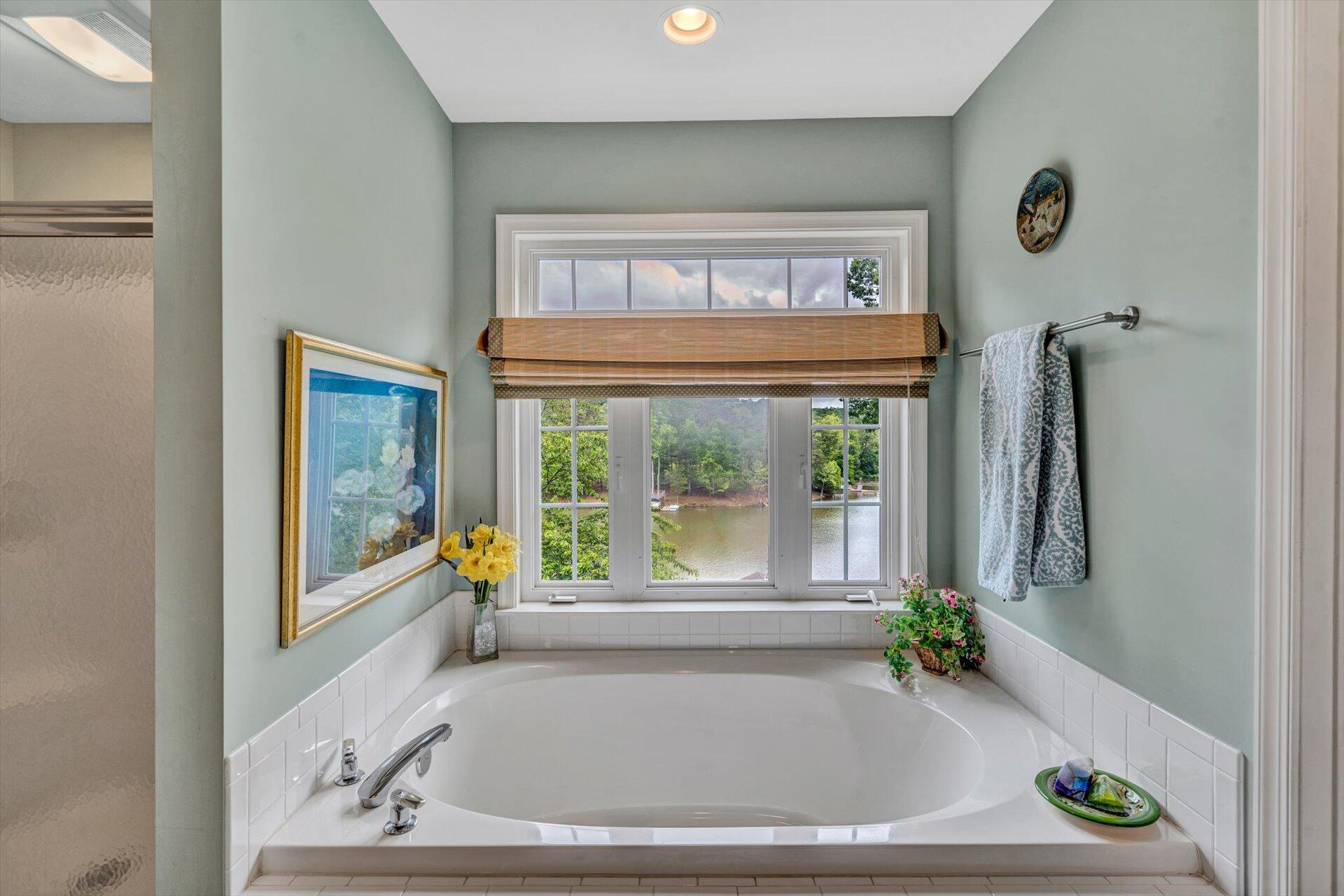155 Cedar Bay Road Union Hall, VA 24176 - Photo 27 of 61 a bath tub sitting next to a window