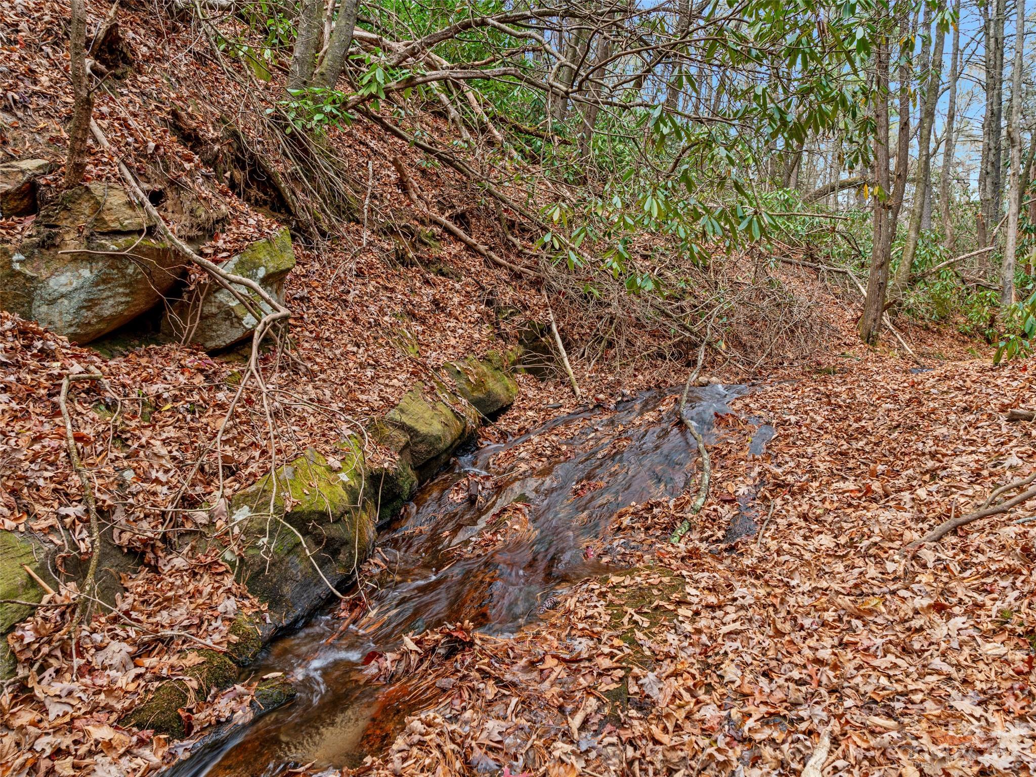 0 Creekside Loop, Unit 15 & 23 Spruce Pine, NC 28777 - Photo 12 of 28 a view of a forest with a tree