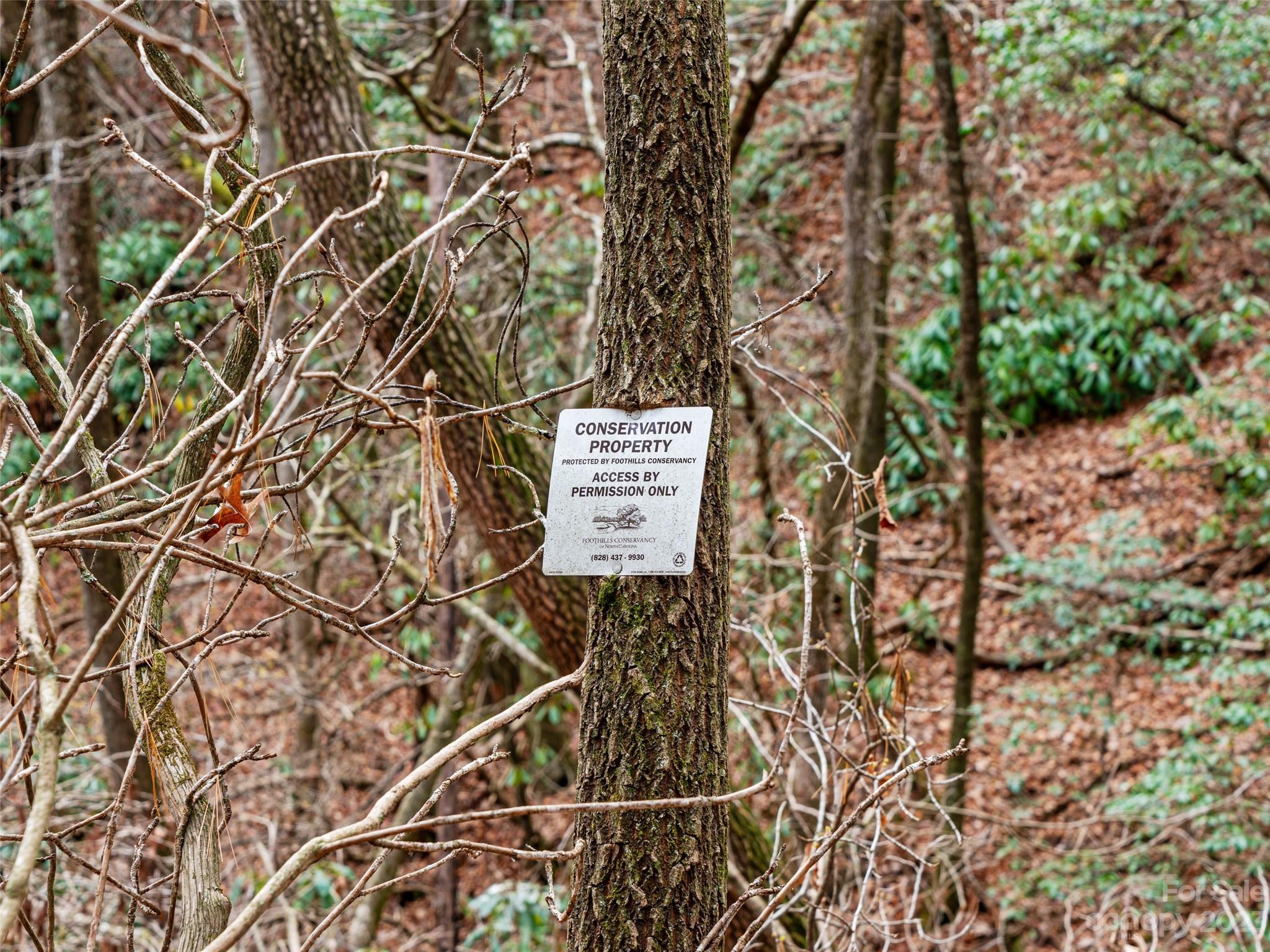 0 Creekside Loop, Unit 15 & 23 Spruce Pine, NC 28777 - Photo 22 of 28 a picture of a tree