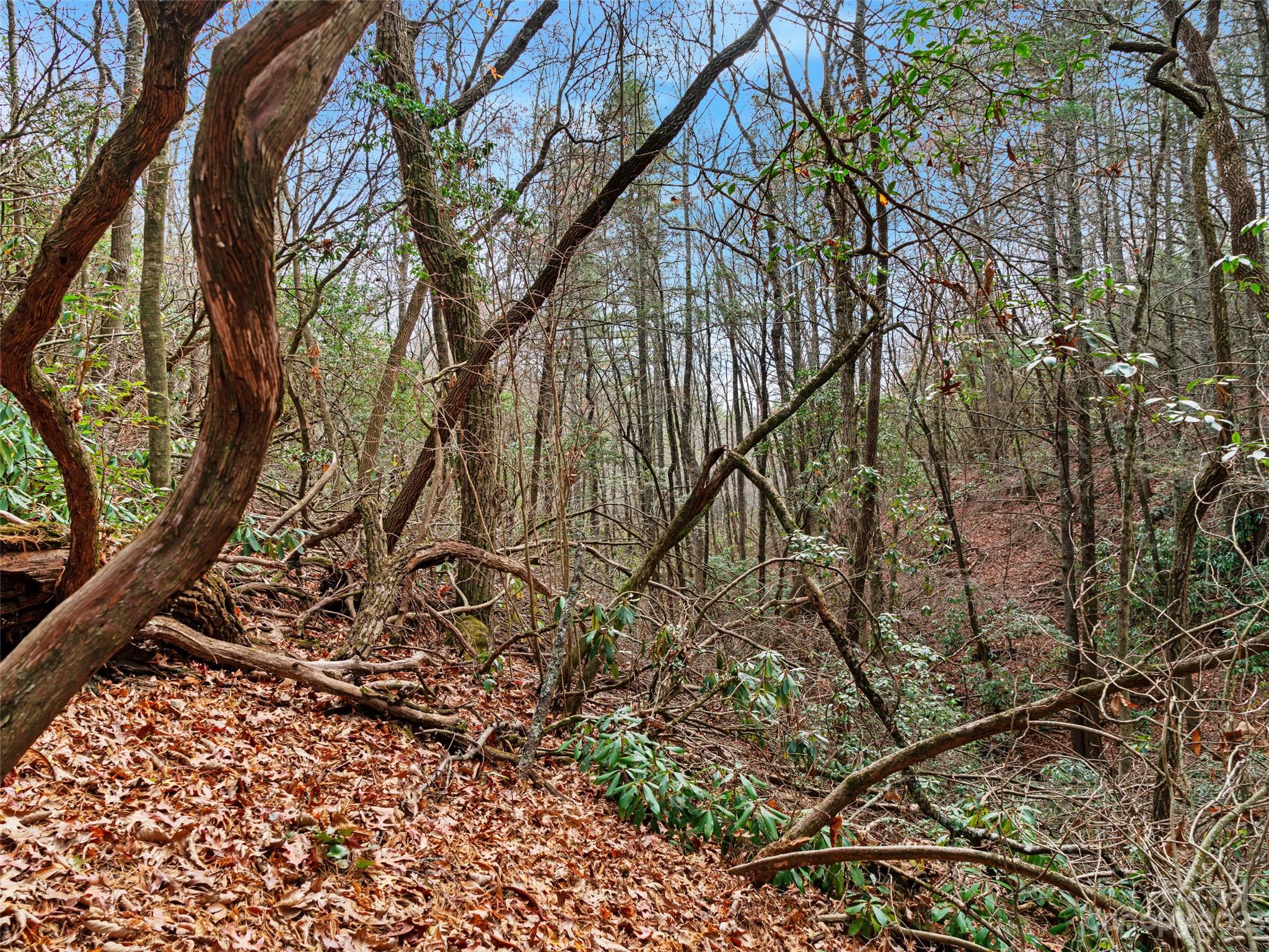 0 Creekside Loop, Unit 15 & 23 Spruce Pine, NC 28777 - Photo 23 of 28 a backyard of a house with lots of green space