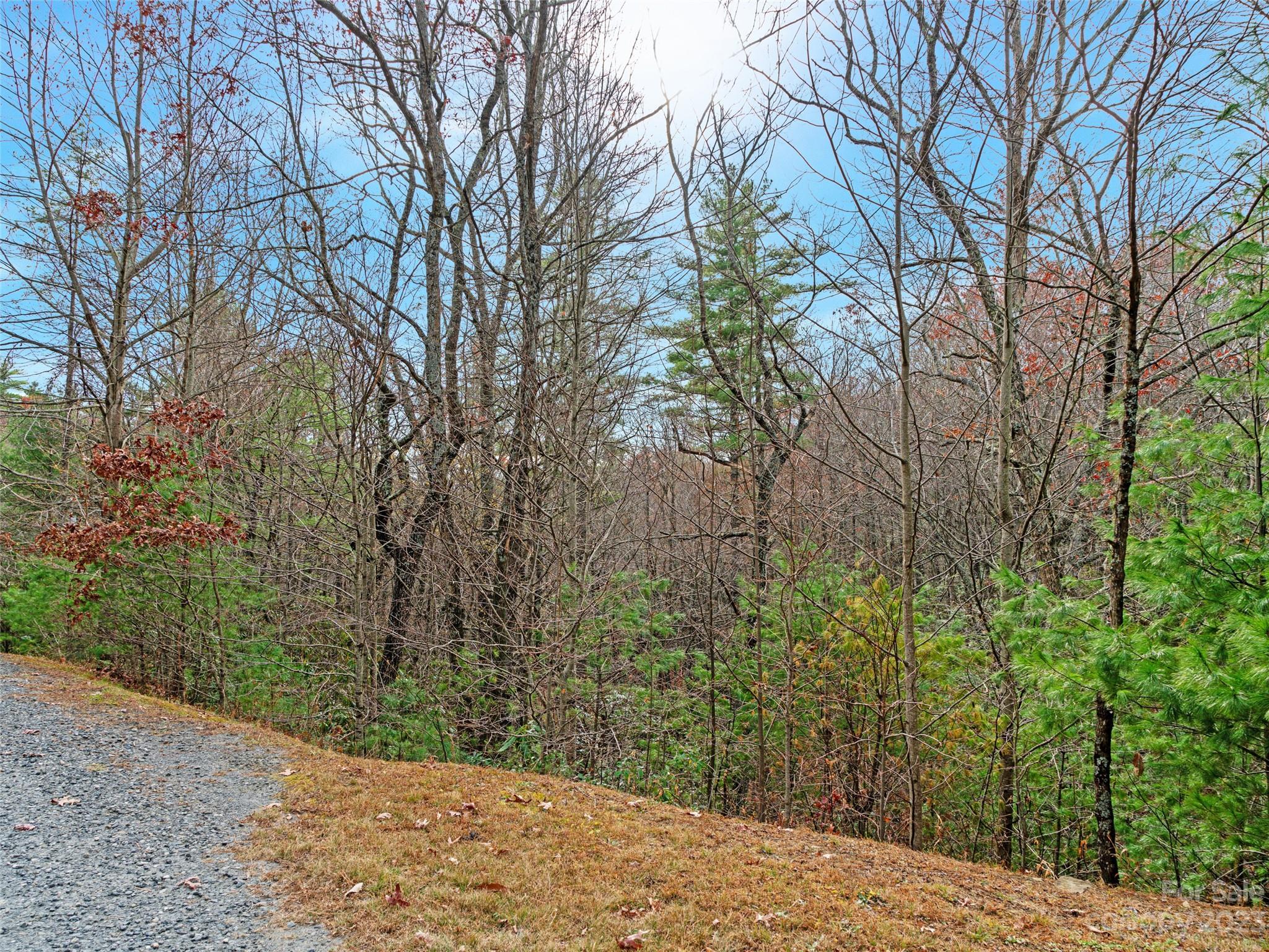 0 Creekside Loop, Unit 15 & 23 Spruce Pine, NC 28777 - Photo 25 of 28 a view of a yard