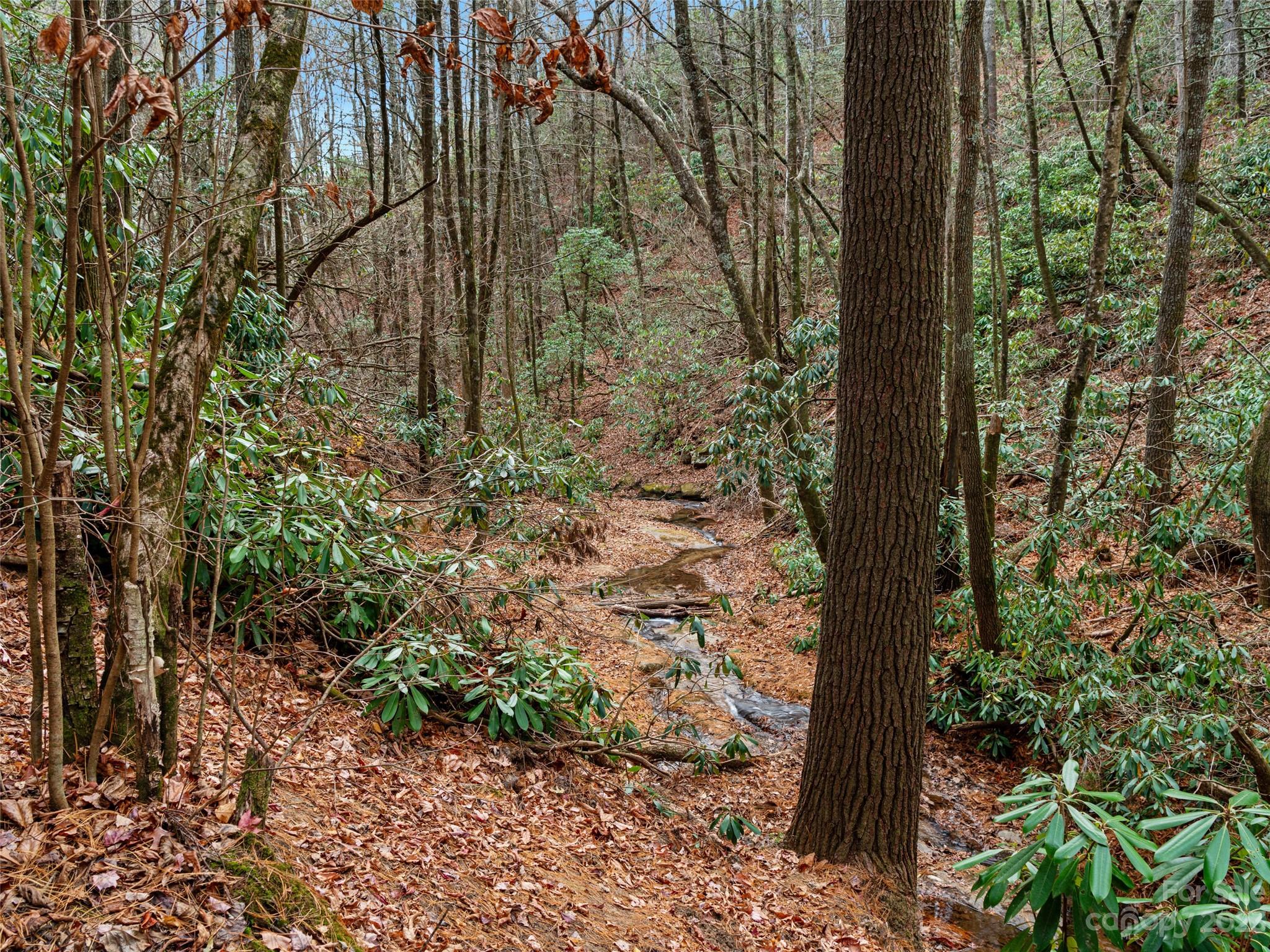 0 Creekside Loop, Unit 15 & 23 Spruce Pine, NC 28777 - Photo 8 of 28 a picture of trees