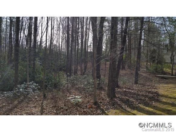 373 Fanning Bridge Road Fletcher, NC 28732 - Photo 3 of 11