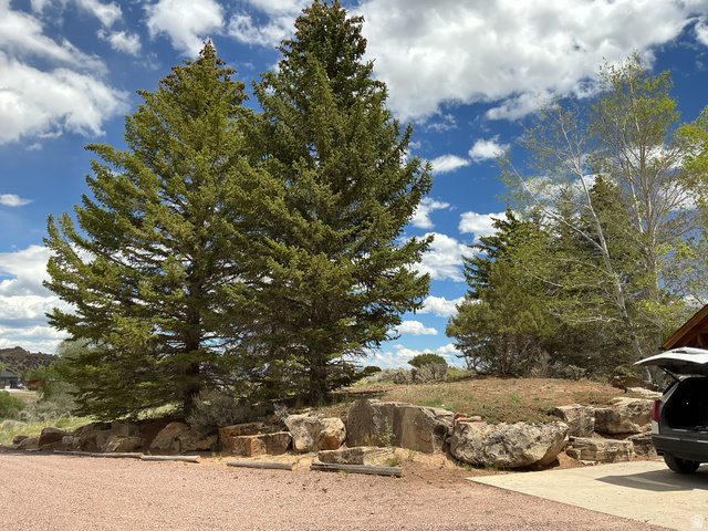 550 State Line Road Manila, UT 84046 - Photo 37 of 41 Natural landscaping featuring mature evergreen trees and a retaining wall constructed from large natural stone