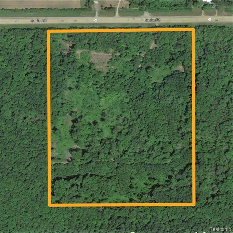 0 Sanilac Road Vassar, MI 48768 - Photo 1 of 9
