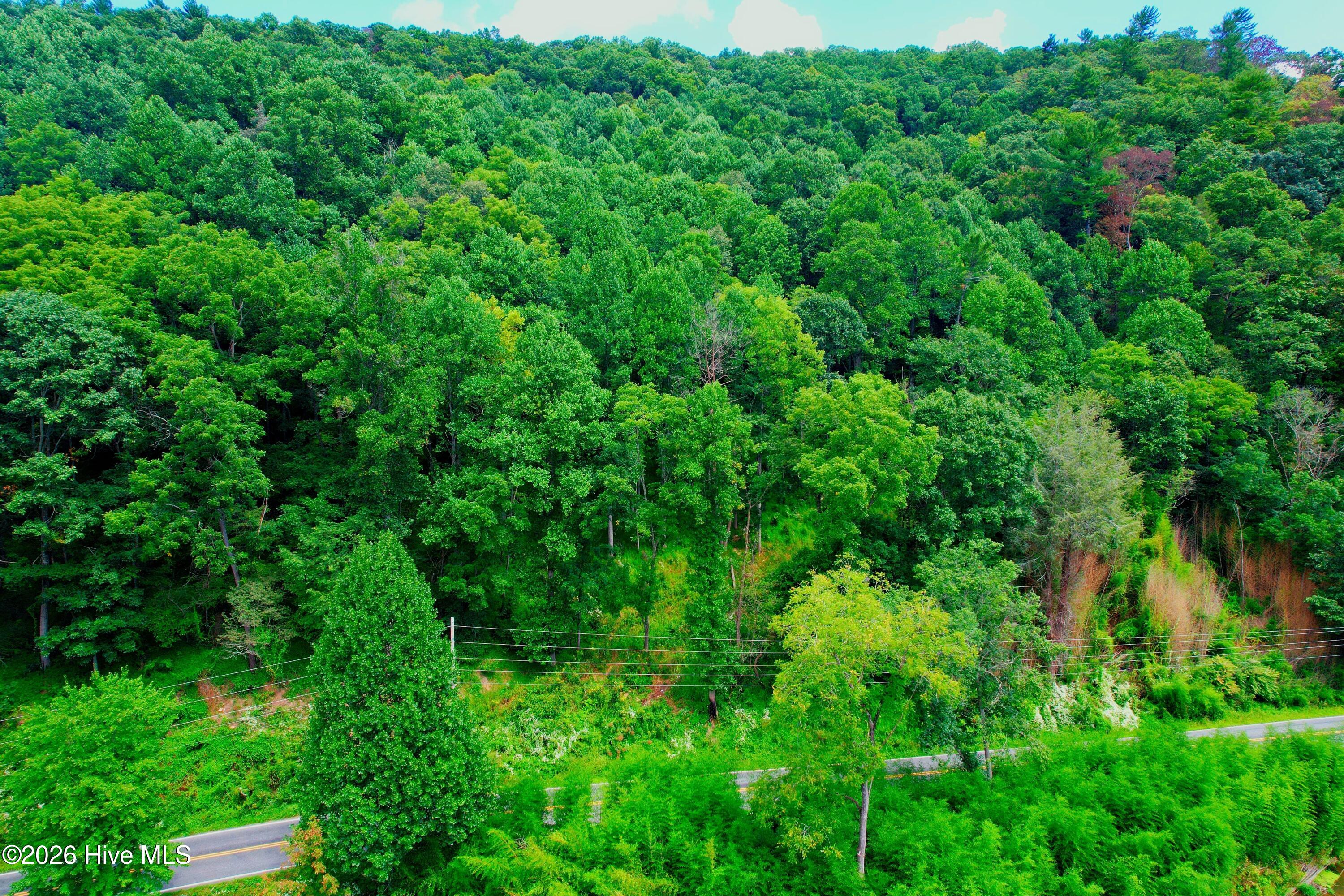 2872 Panther Creek Road Clyde, NC 28721 - Photo 54 of 82 Gallery Image 54