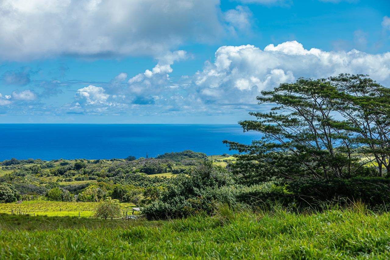 Hinalo Road Haiku, HI 96708 - Photo 14 of 20 Gallery Image 14