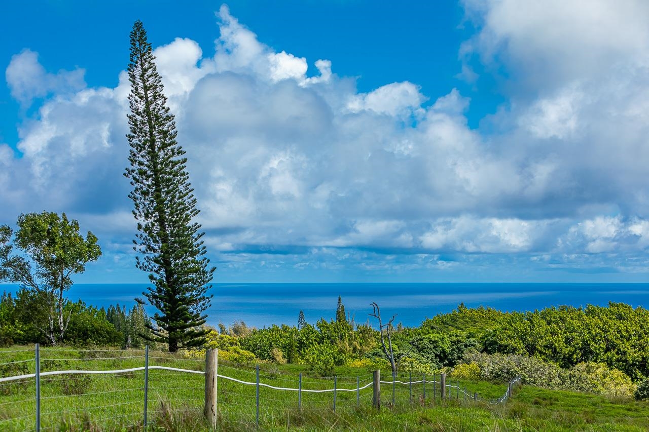 Hinalo Road Haiku, HI 96708 - Photo 15 of 20 Gallery Image 15