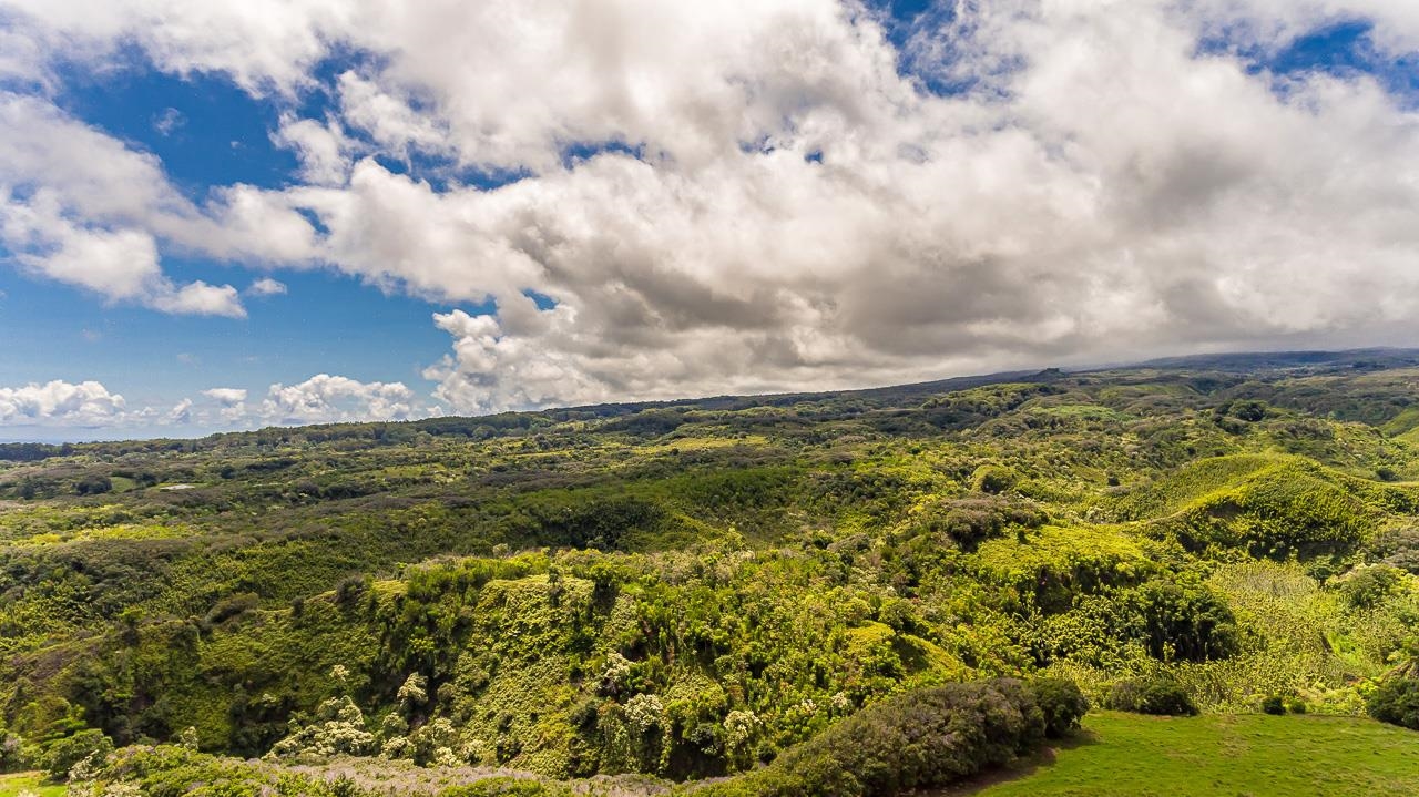 Hinalo Road Haiku, HI 96708 - Photo 10 of 20 Gallery Image 10