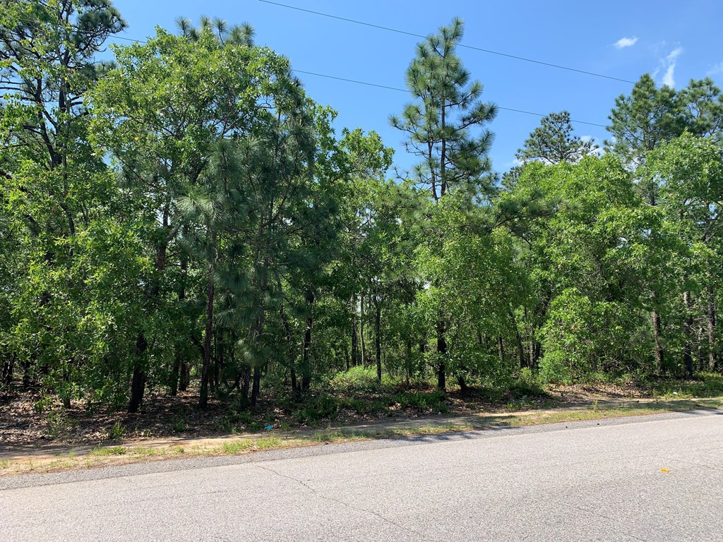 1 Whaley Pond Road Graniteville, SC 29829 - Photo 2 of 4 Gallery Image 2