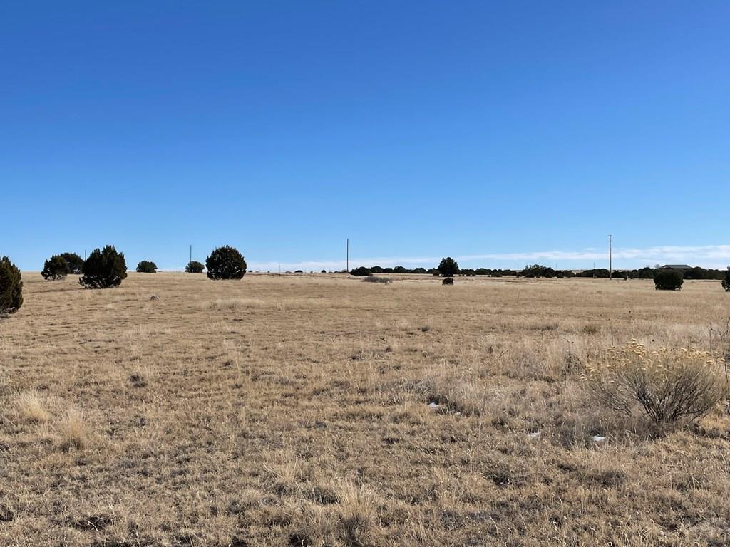 Tbd Misty Lane Rye, CO 81069 - Photo 14 of 46 Gallery Image 14