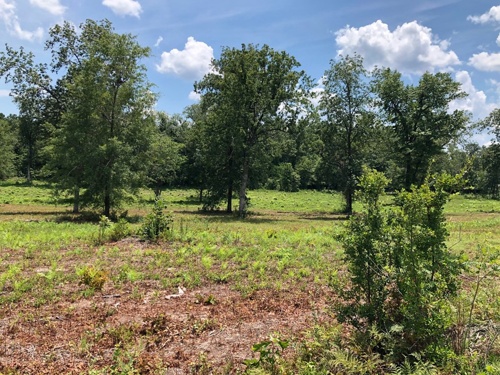 0 Eagle Road North Augusta, SC 29860 - Photo 5 of 10
