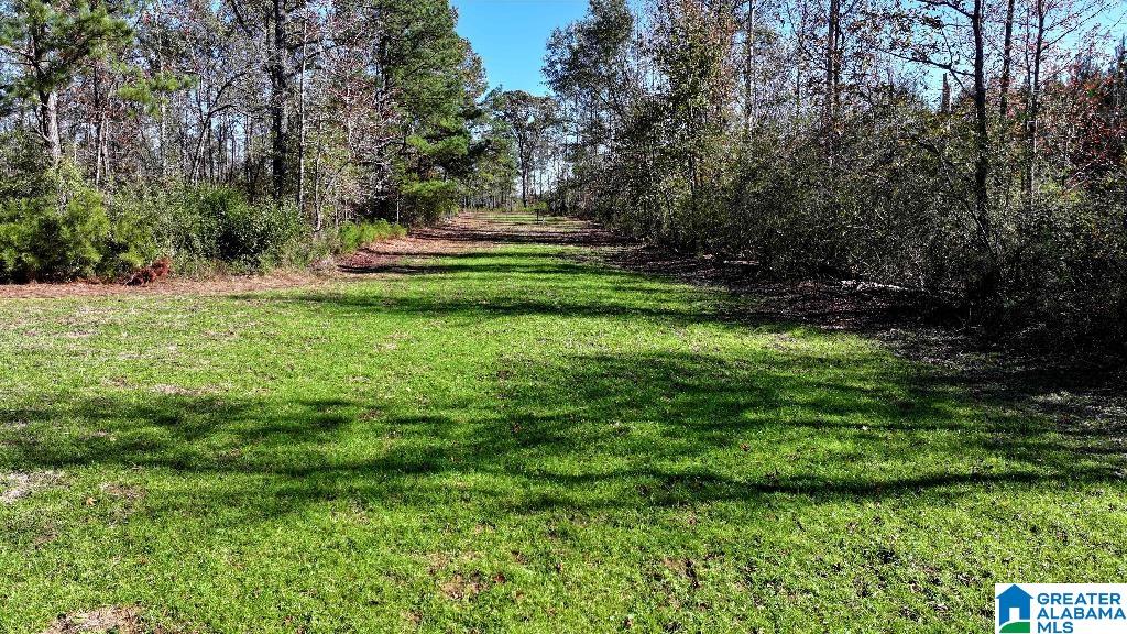 200 Kelly Creek Road Odenville, AL 35120 - Photo 30 of 47