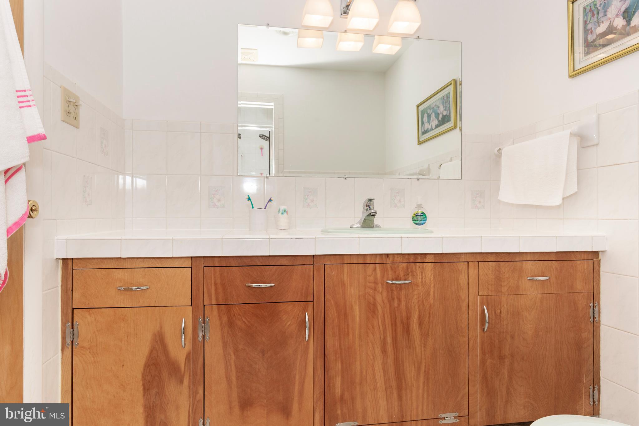 1722 Emory Road Reisterstown, MD 21136 - Photo 32 of 53 lots of counter space in each bath