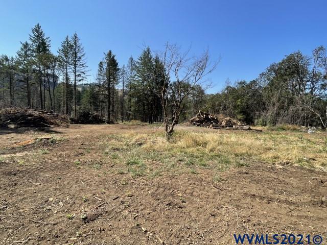 23149 North Fork Road Lyons, OR 97358 - Photo 9 of 9 Gallery Image 9