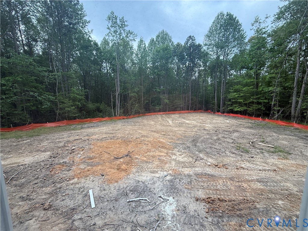 20545 Braxton Road Barhamsville, VA 23011 - Photo 16 of 17 View of rear yard