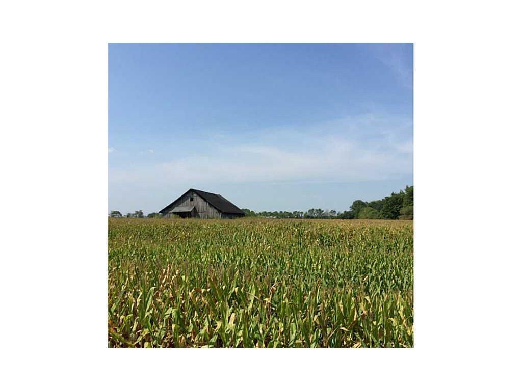 0 Mule Barn Road Westfield, IN 46074 - Photo 1 of 1
