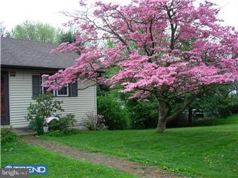 149 Ridge Boulevard Brookhaven, PA 19015 - Photo 2 of 9