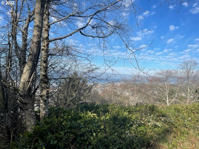 Pacific View Drive, Unit 81 Rockaway Beach, OR 97136 - Photo 4 of 11 a view of a yard with a tree