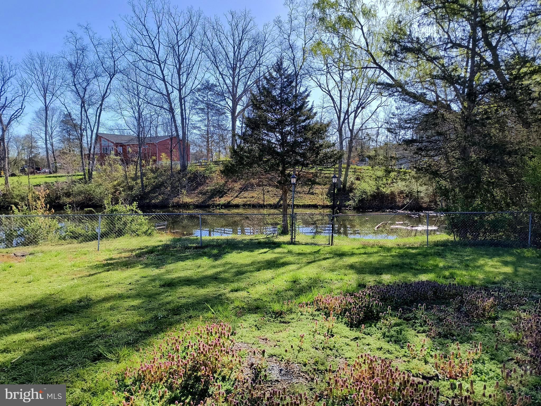 Lake Ridge Road Strasburg, VA 22657 - Photo 1 of 24 Lake view from yard
