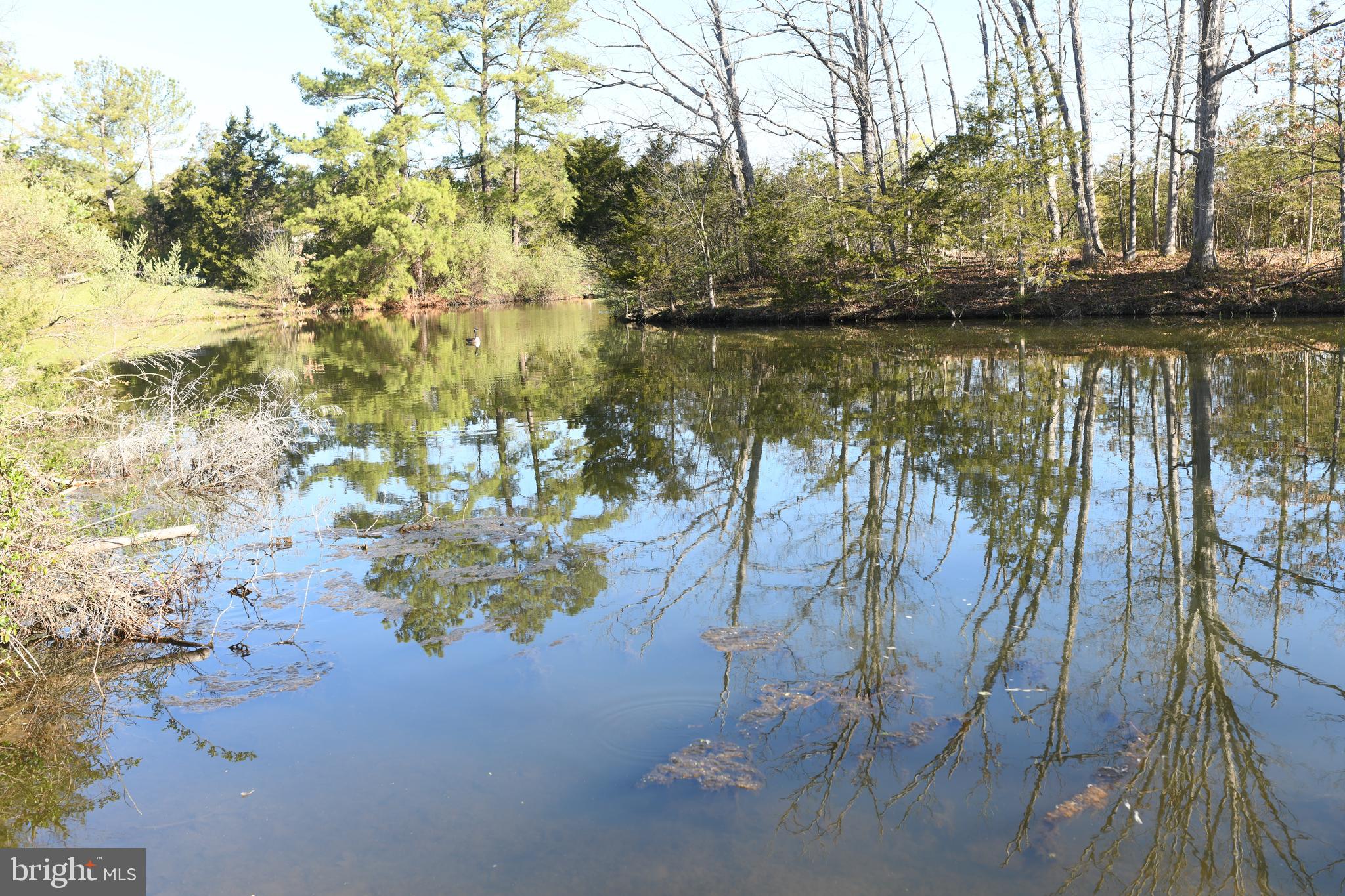Lake Ridge Road Strasburg, VA 22657 - Photo 6 of 24 View of Private lake from property