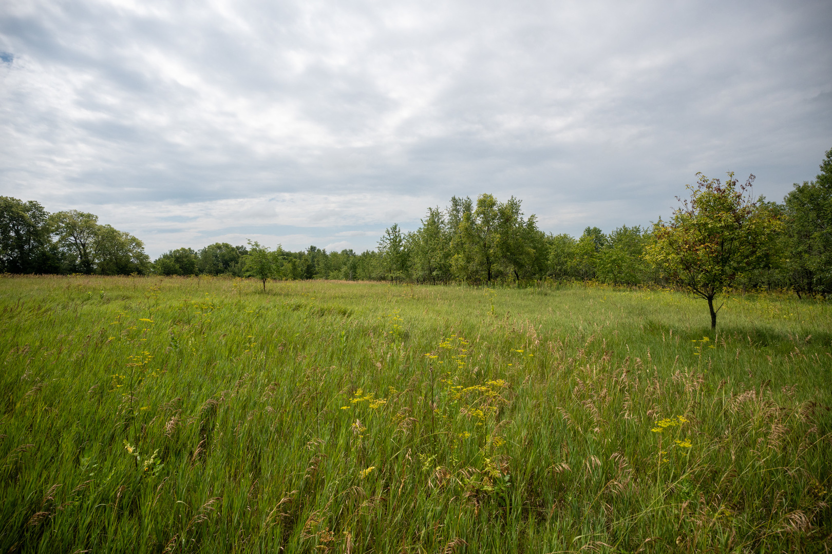14992 Doty Road Pecatonica, IL 61063 - Photo 29 of 92 Gallery Image 29
