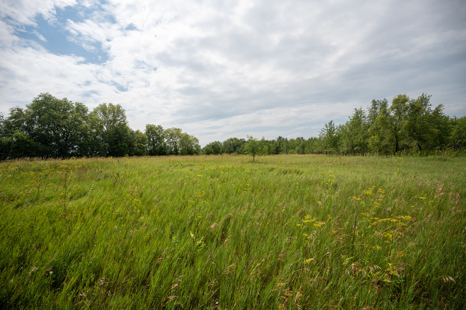 14992 Doty Road Pecatonica, IL 61063 - Photo 30 of 92 Gallery Image 30