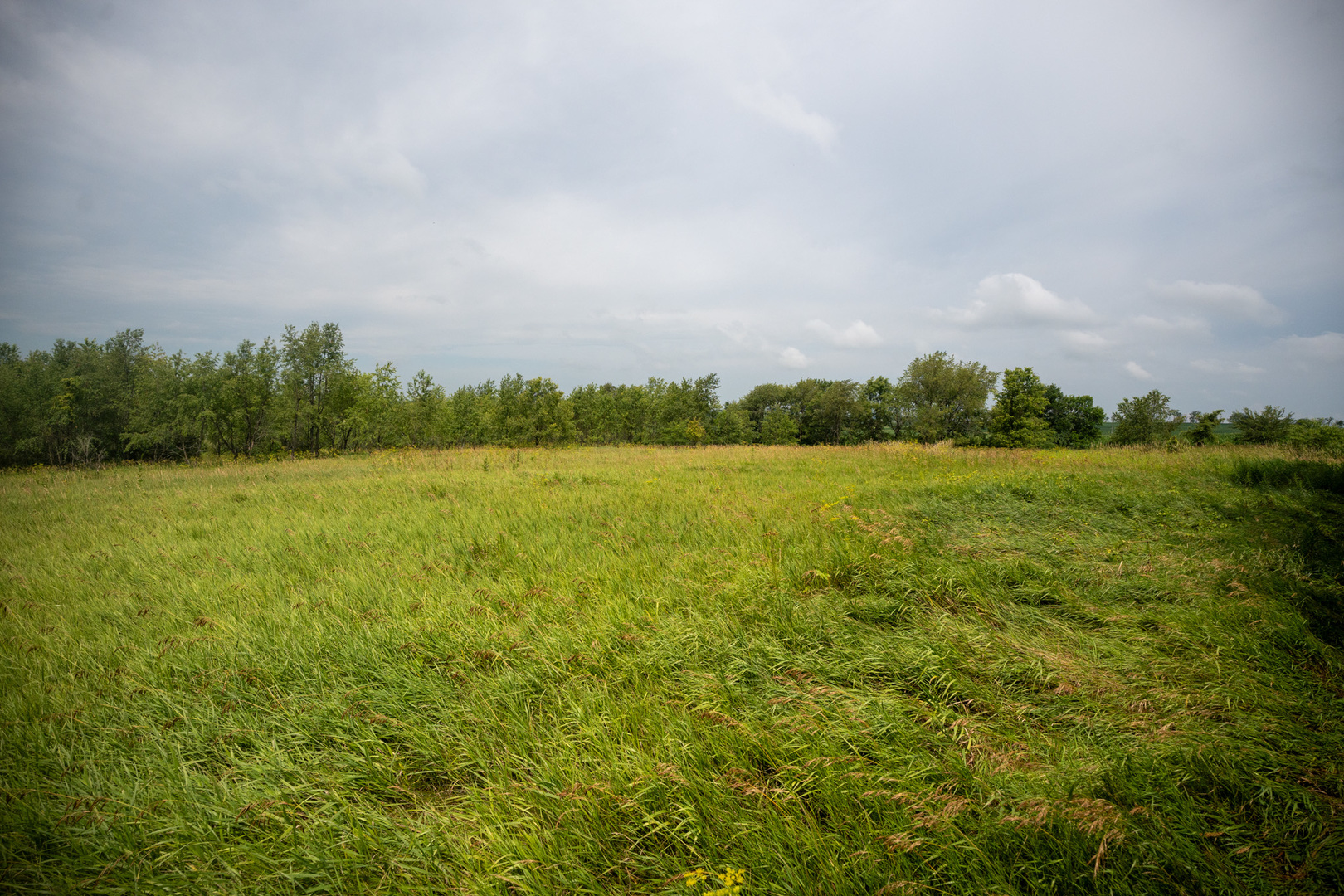 14992 Doty Road Pecatonica, IL 61063 - Photo 32 of 92 Gallery Image 32
