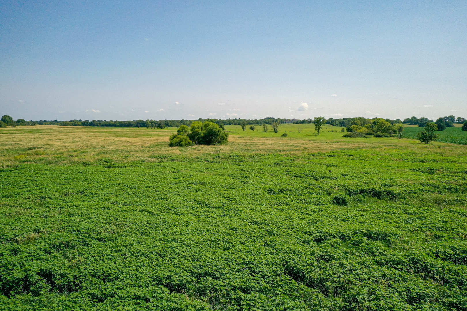 14992 Doty Road Pecatonica, IL 61063 - Photo 72 of 92 Gallery Image 72