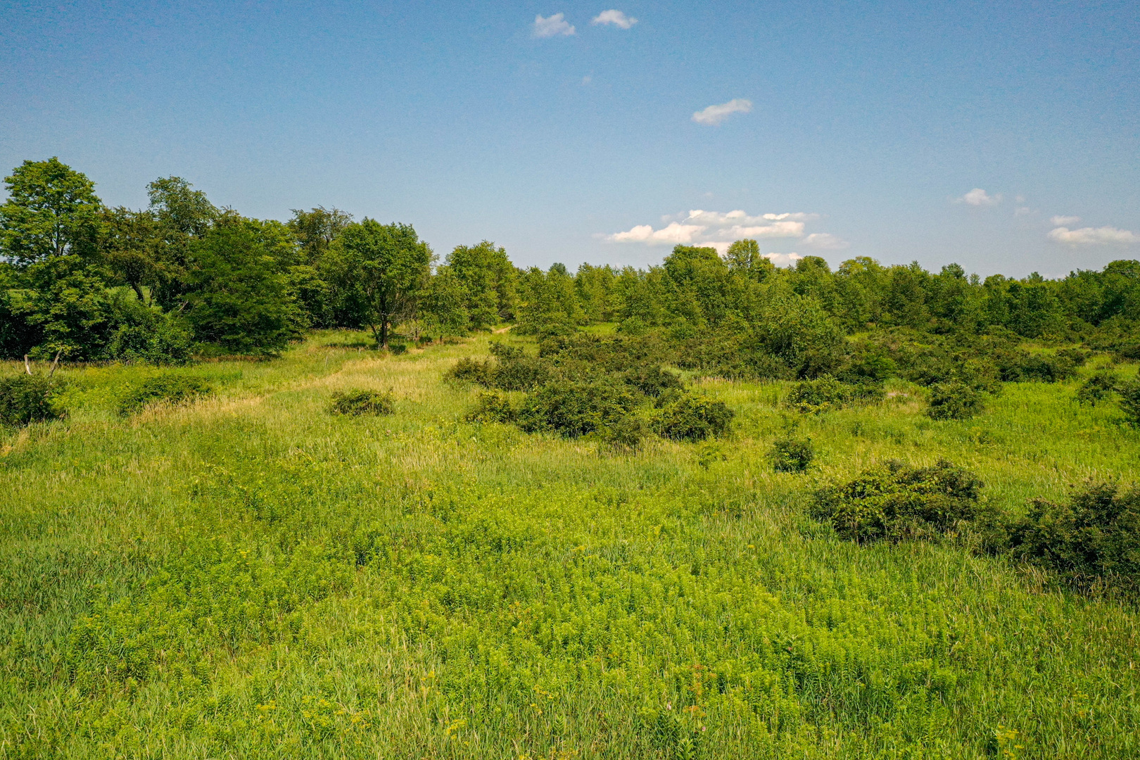 14992 Doty Road Pecatonica, IL 61063 - Photo 81 of 92 Gallery Image 81