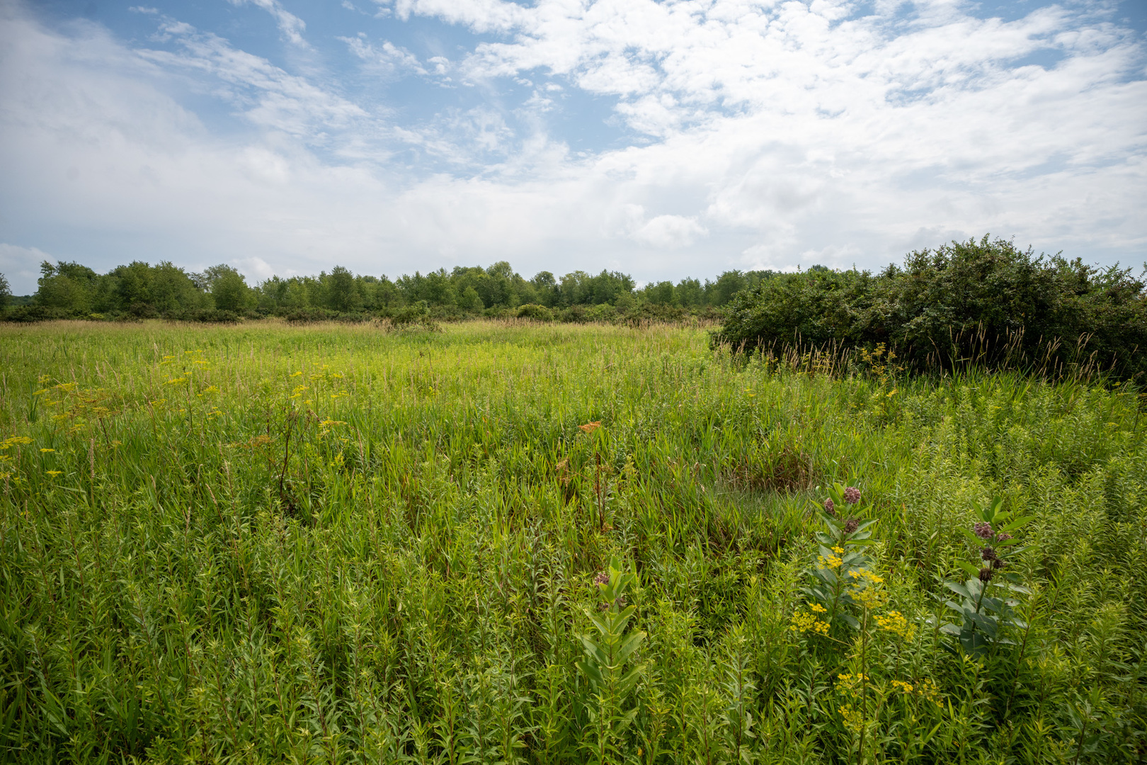 14992 Doty Road Pecatonica, IL 61063 - Photo 82 of 92 Gallery Image 82