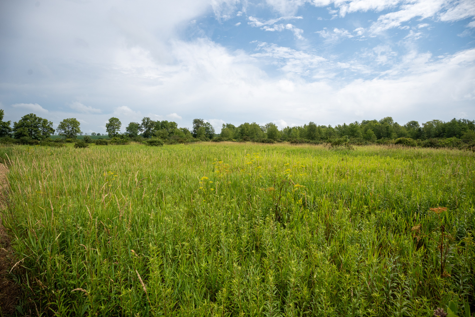 14992 Doty Road Pecatonica, IL 61063 - Photo 83 of 92 Gallery Image 83