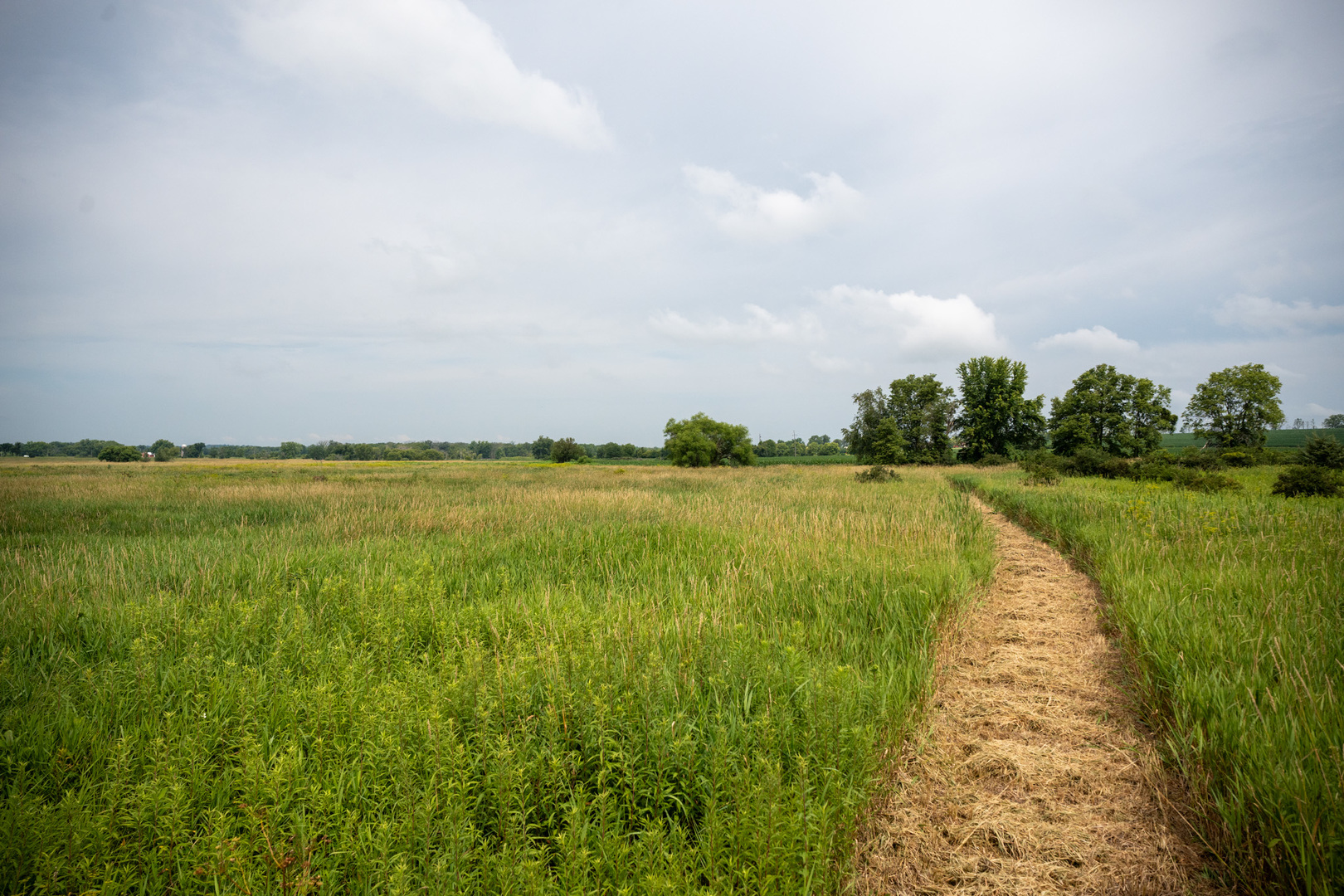 14992 Doty Road Pecatonica, IL 61063 - Photo 84 of 92 Gallery Image 84