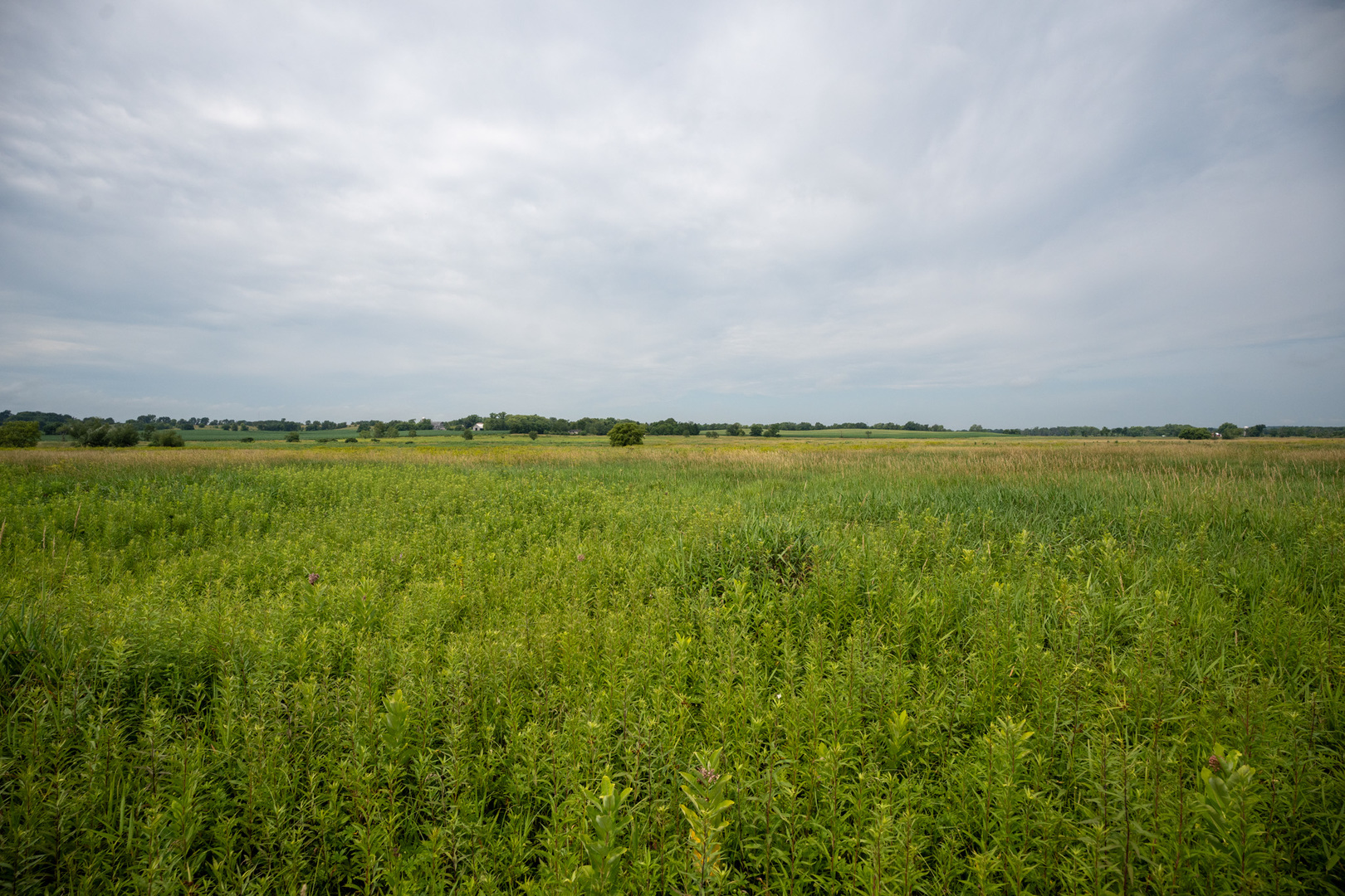 14992 Doty Road Pecatonica, IL 61063 - Photo 85 of 92 Gallery Image 85