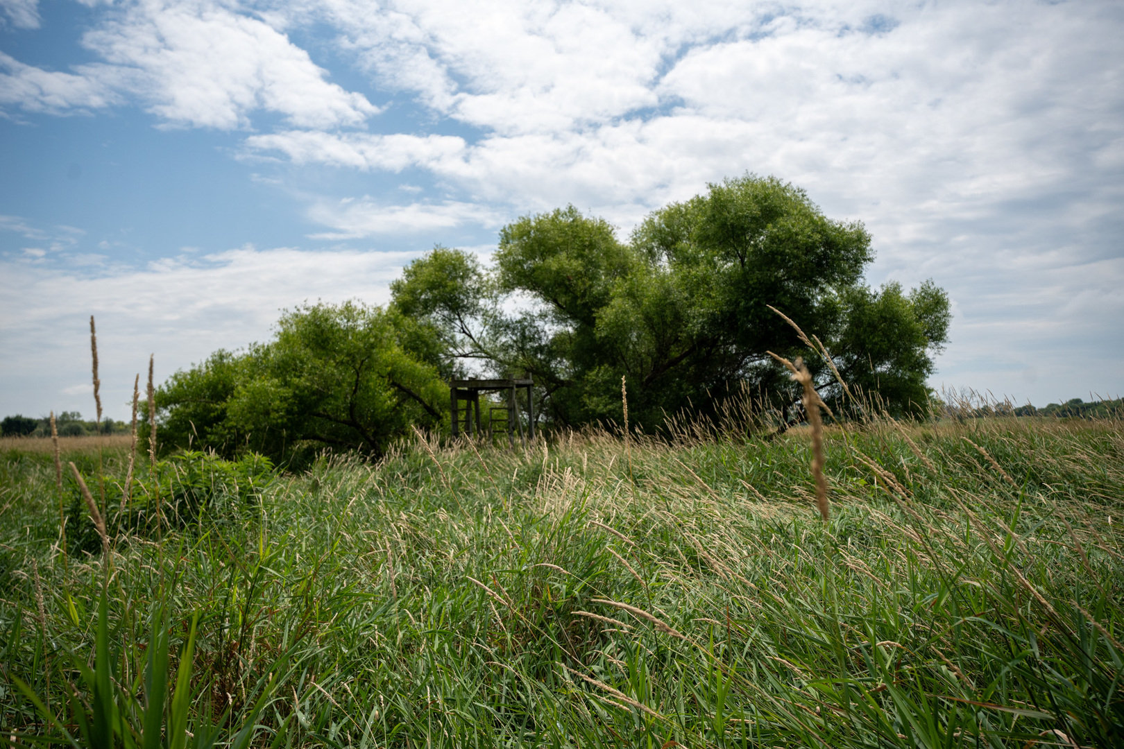 14992 Doty Road Pecatonica, IL 61063 - Photo 86 of 92 Gallery Image 86