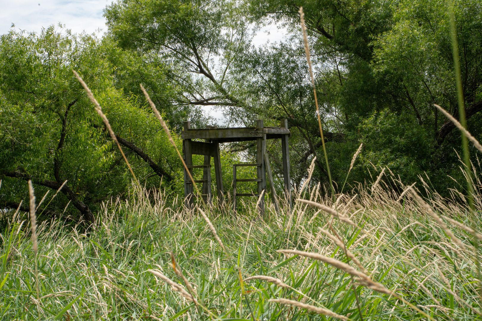 14992 Doty Road Pecatonica, IL 61063 - Photo 87 of 92 Gallery Image 87