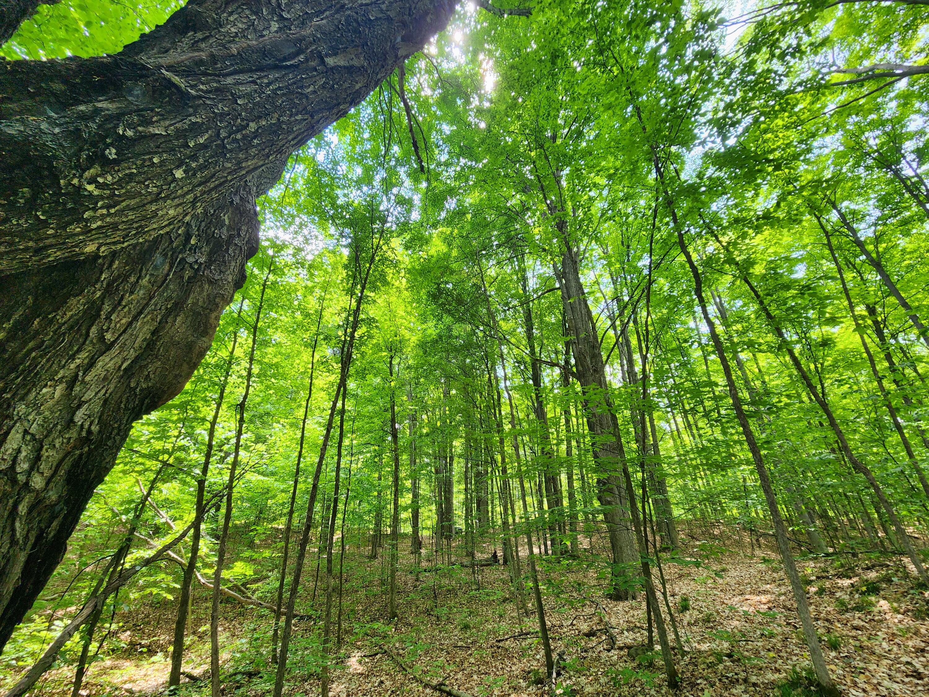 Winding Trail Fairview, MI 48621 - Photo 45 of 47 Gallery Image 45