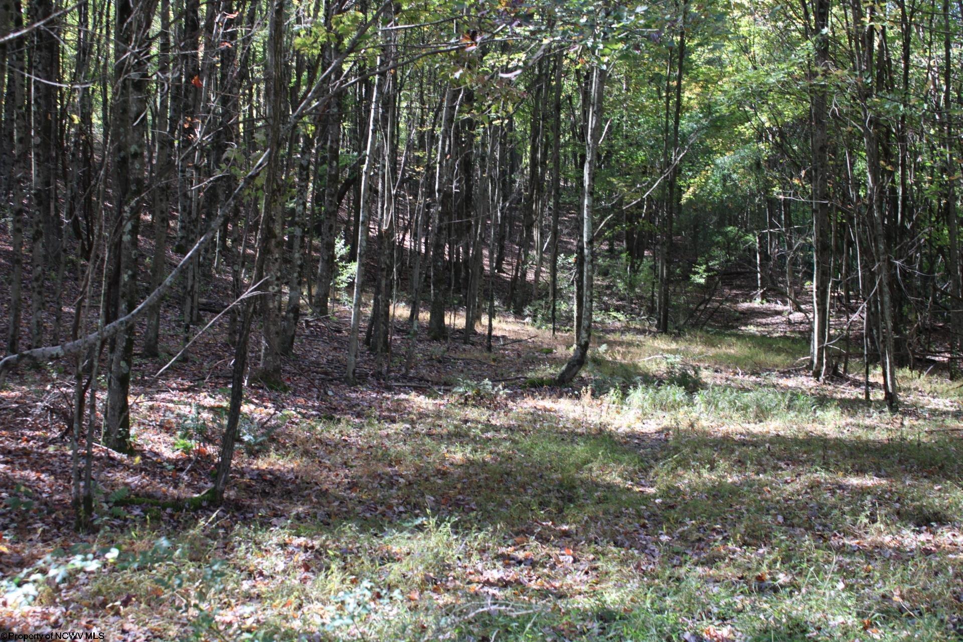 1429 Sand Bank Road Masontown, WV 26542 - Photo 10 of 23 Gallery Image 10